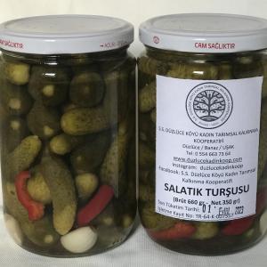 Salatalık Turşusu