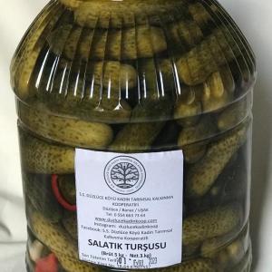 Salatalık Turşusu